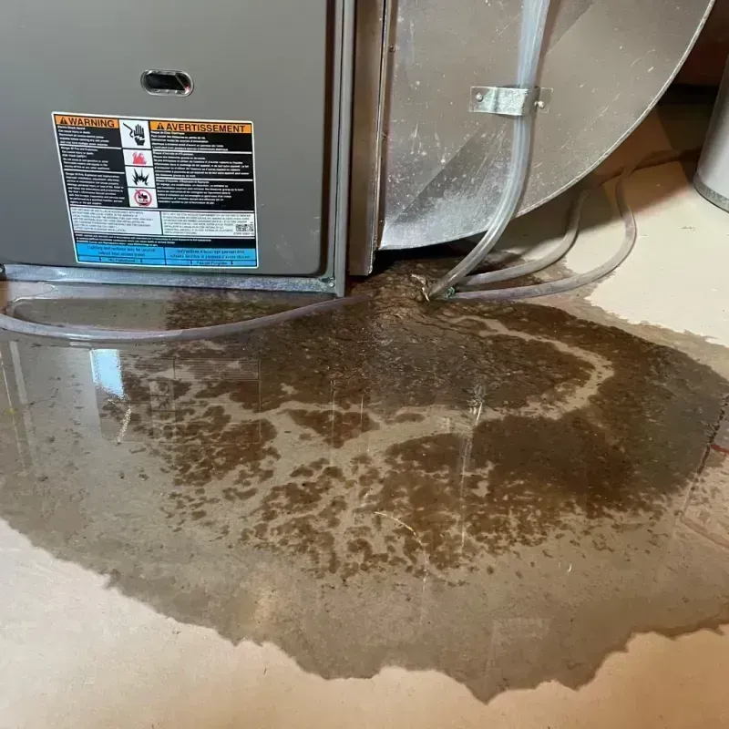 Appliance Leak Cleanup in Del Rey Oaks, CA